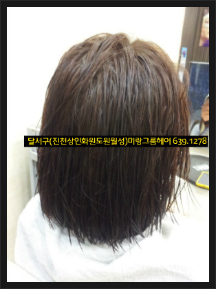 동원화원 이미지