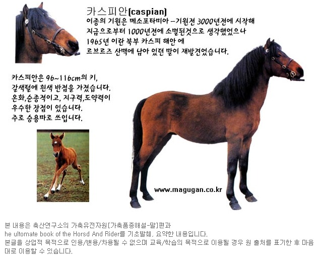 마구간 이미지