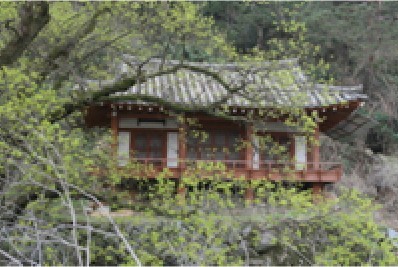 자연정 이미지
