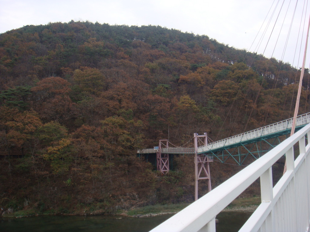 산천초목 이미지