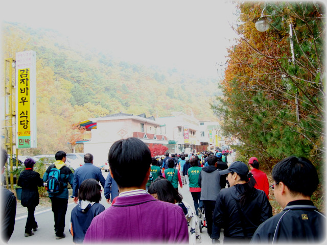 강원산소 이미지