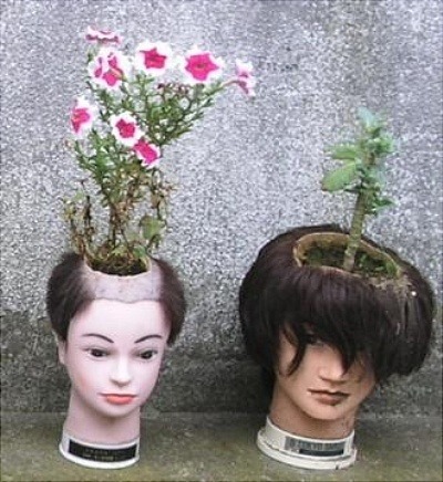 이미지원 이미지