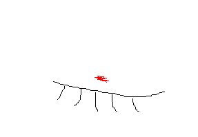 김보현성형외과 이미지