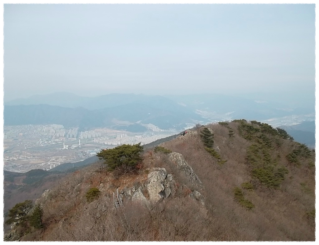 솔다방 이미지