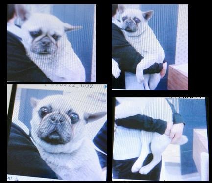 라이프아파트 이미지
