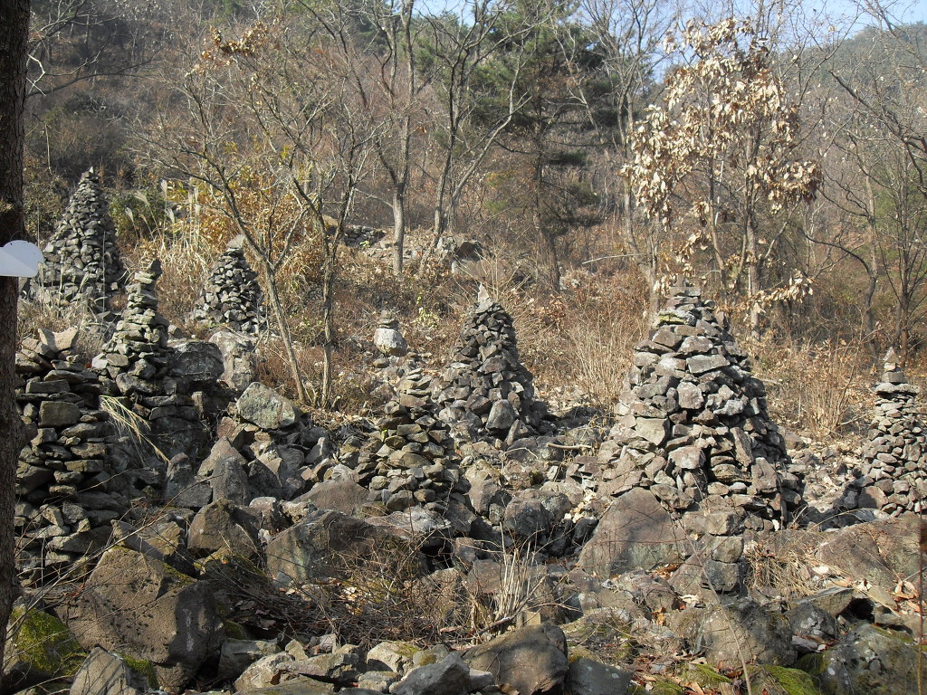 삼형제 나무 이미지