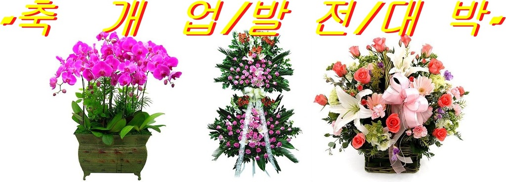 하얀노래연습장 이미지