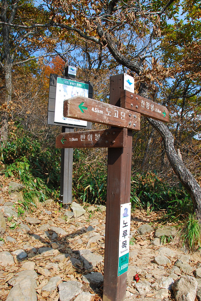 노루목산장 이미지