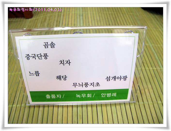 산들내 이미지