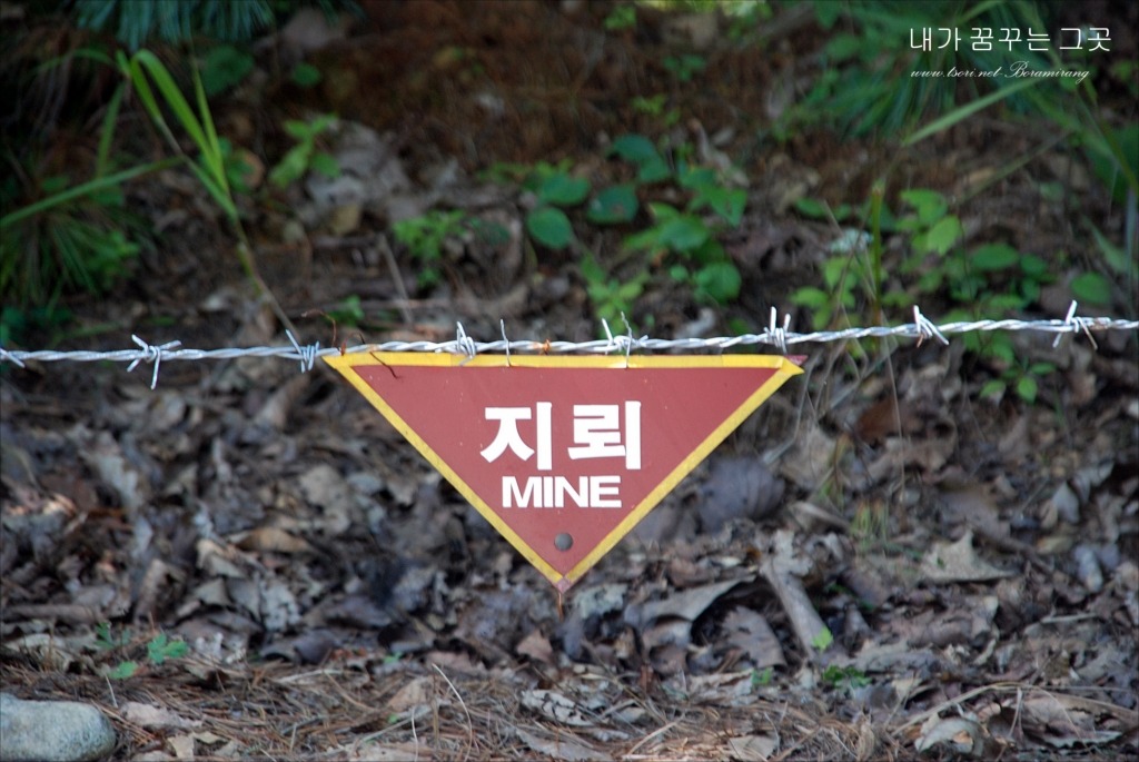 지뢰제거 작업중 이미지
