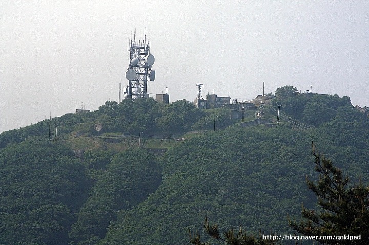 청계산식물원 이미지
