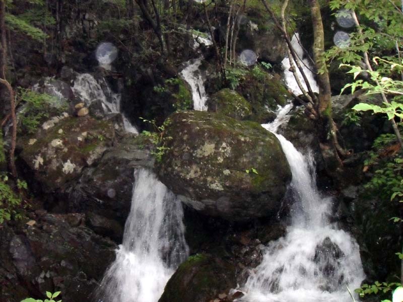 발교산산장 이미지