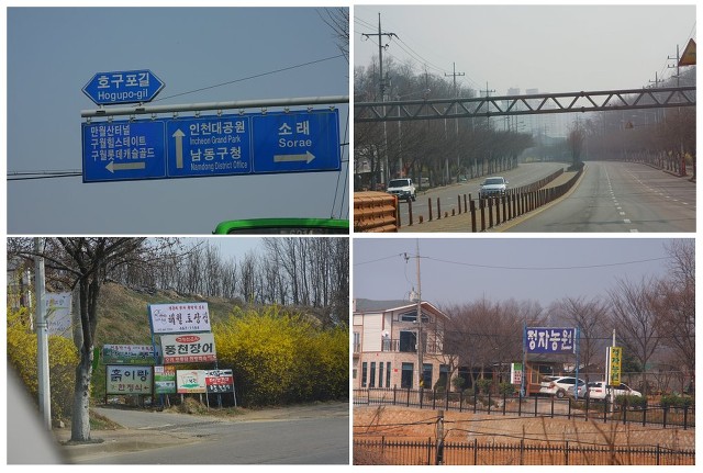 정자농원 이미지