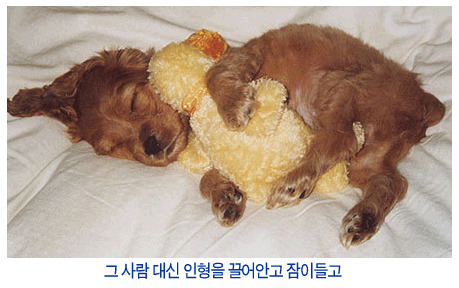 훅 이미지