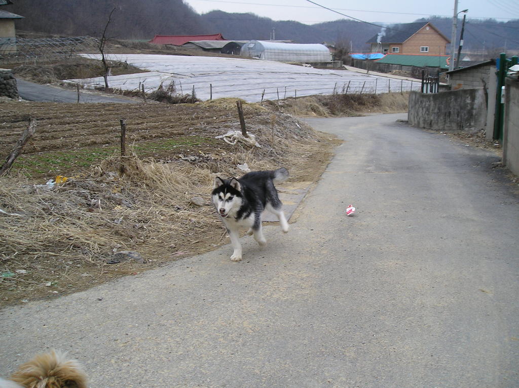 예전집 이미지