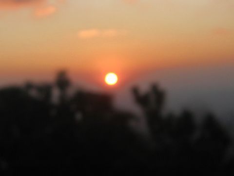 삼구회 이미지