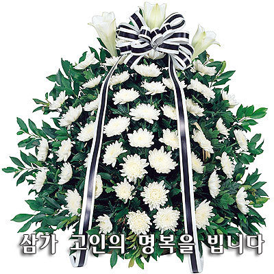 토생이 이미지