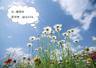 천사꽃집 이미지