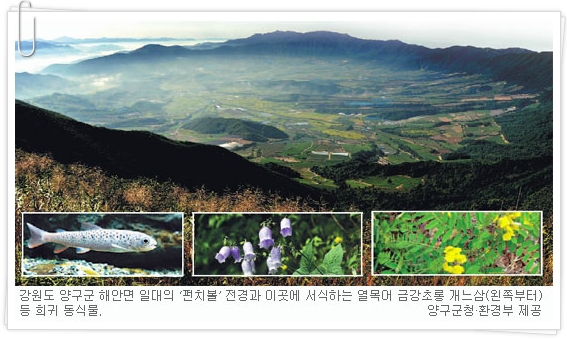 4 자연전망대 이미지