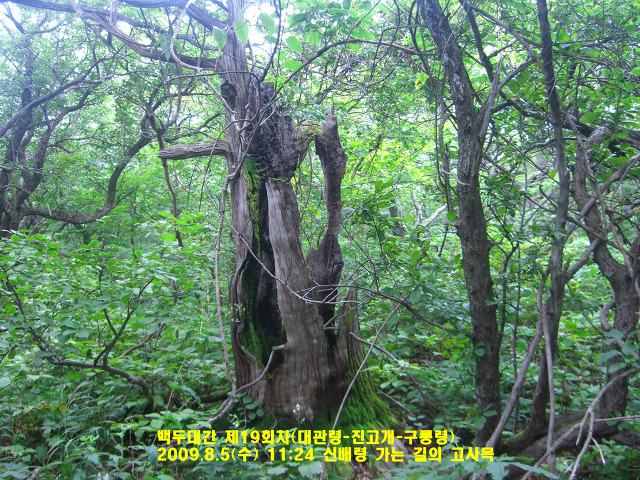 진부1 이미지