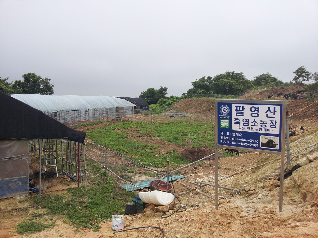 팔영산흑염소 이미지