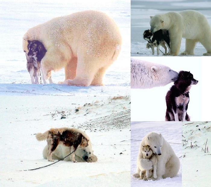 곰곰 이미지