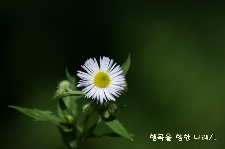 아름다운약속 이미지