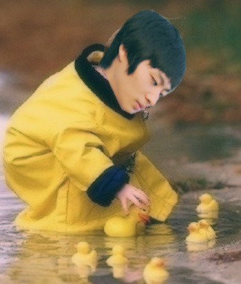 호석 이미지