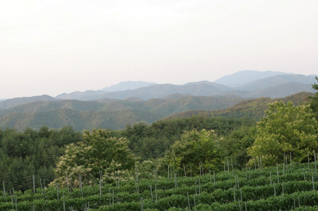 산마실 이미지