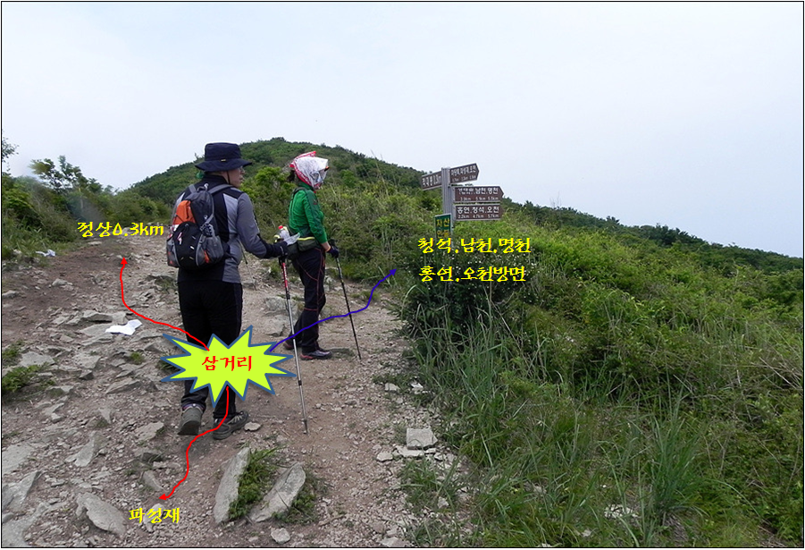 산고래 이미지