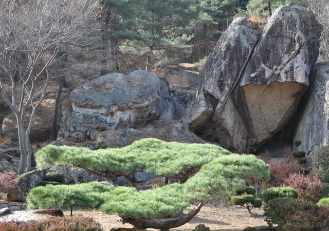 속리산토종닭 이미지