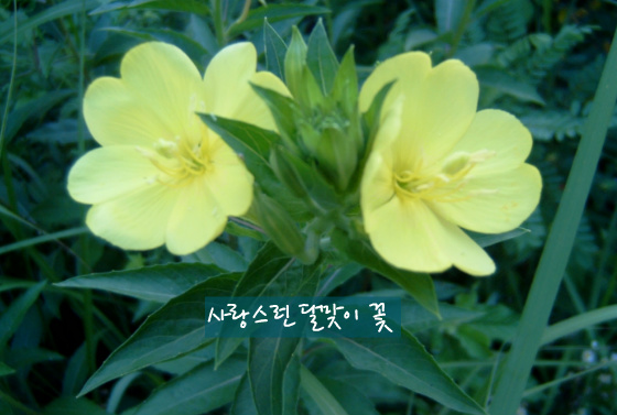 고운생활 이미지