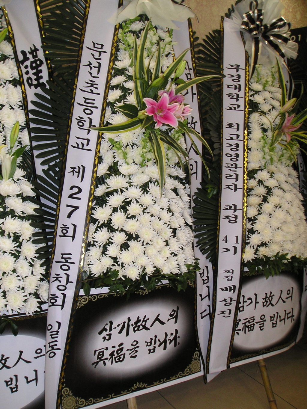 문선초등학교 이미지