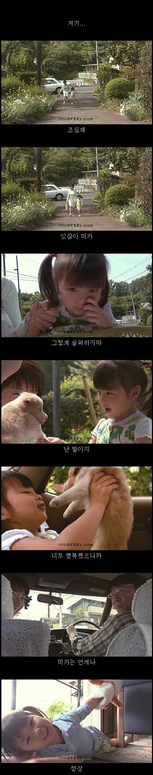 개의 일생 | 인스티즈