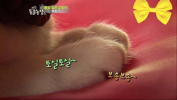 상귀농장 이미지