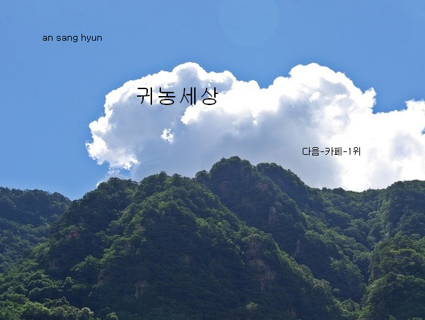 러브샵 이미지