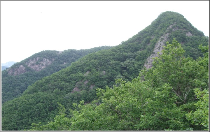 대부산 정상 이미지