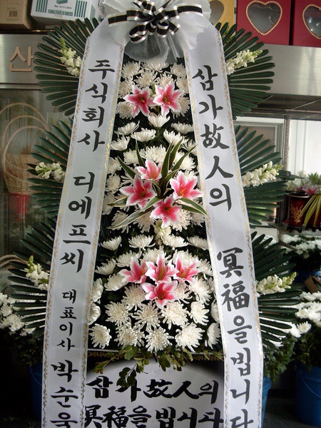 디에프씨 이미지