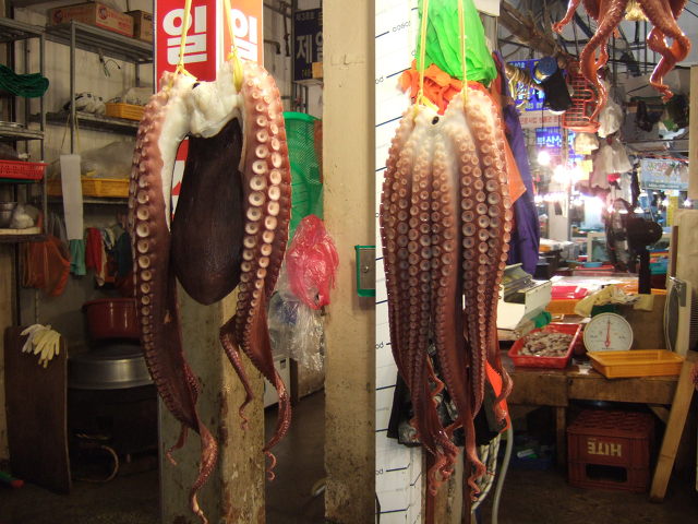 성동분식 이미지