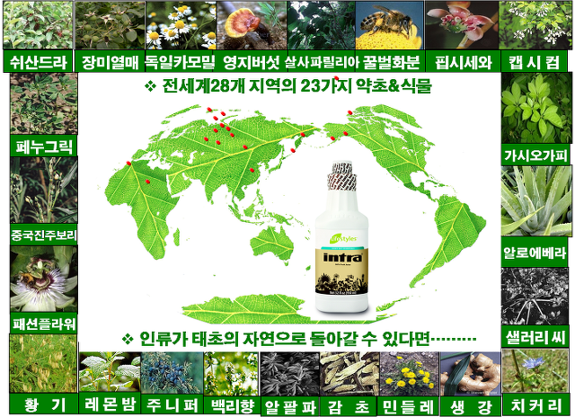 웰빙하우스 이미지