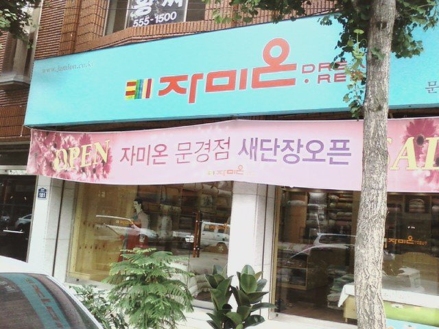 자미온 이미지