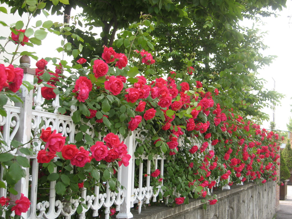 1676D2174A1205011387F6