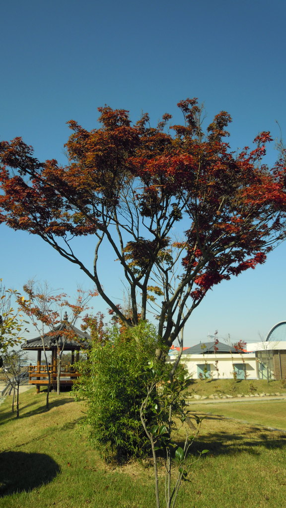 춘포초등학교 이미지
