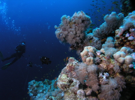블루홀(BLUE HOLE) 이미지