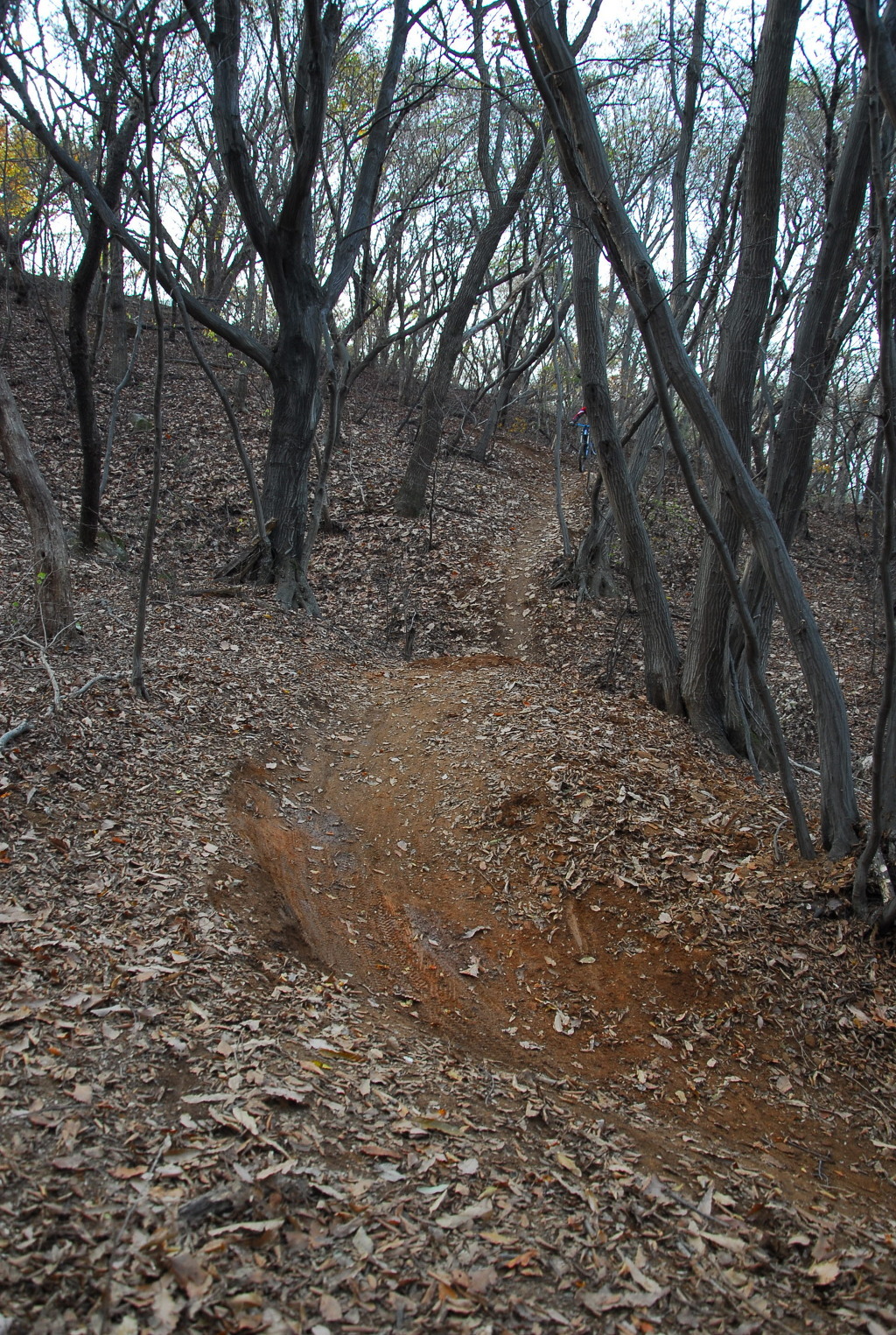 창원MTB 이미지