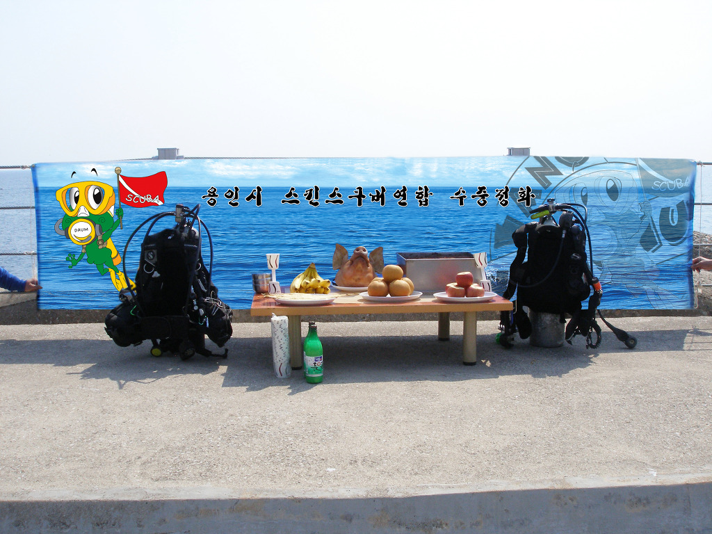 용인스킨스쿠버 이미지