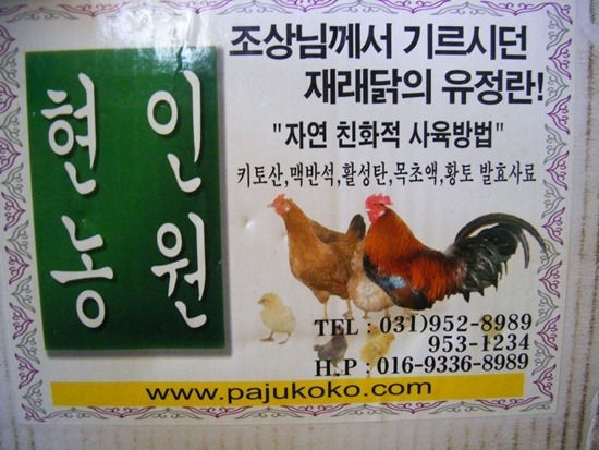 토종닭 이미지