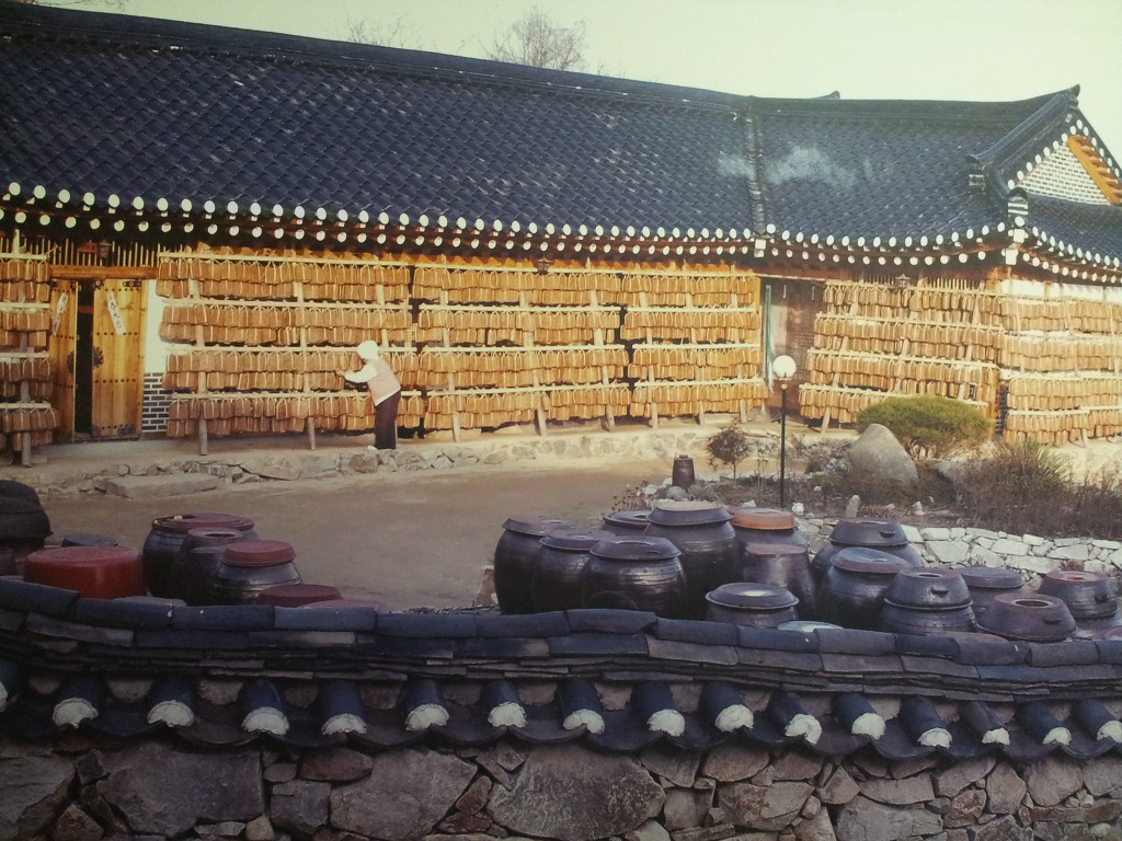 지미당 이미지