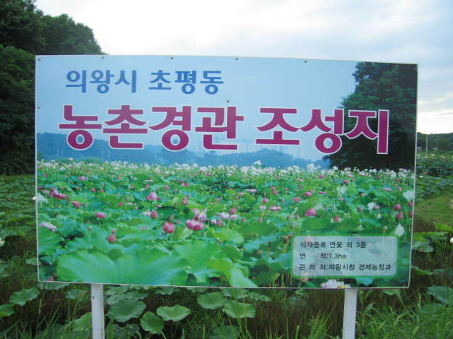 빵실이네 이미지