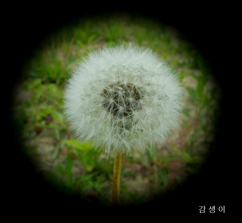 살다보면 이미지